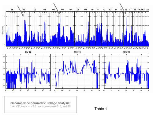 Results of genome-wide linkage analysis using 262K NspI SNP Array (Affymetrix) platform, showing three regions with LOD score >2.5