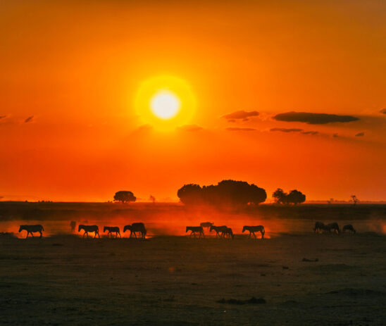 Unlocking the ecological value of Mukutan Conservancy to benefit local communities in Kenya