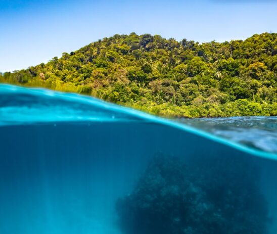 Strengthening collaborative marine governance across the Atlántida Seascape in Honduras