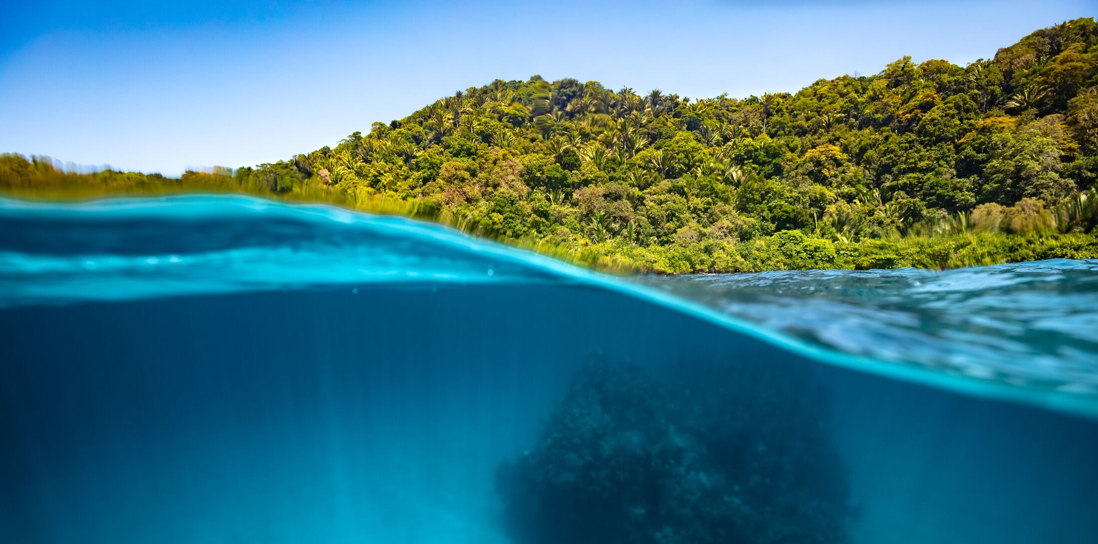 Strengthening collaborative marine governance across the Atlántida Seascape in Honduras