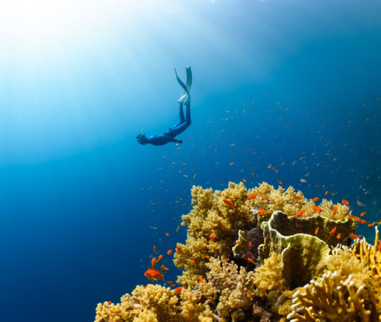 Strengthening collaborative marine governance across the Atlántida Seascape in Honduras