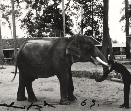 Elsa Peretti and India