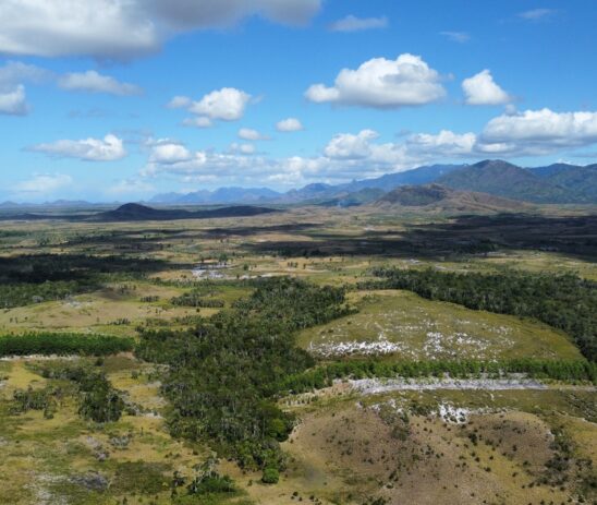 Partnering with SEED Madagascar to strengthen Madagascar’s social structure through environmental conservation activities
