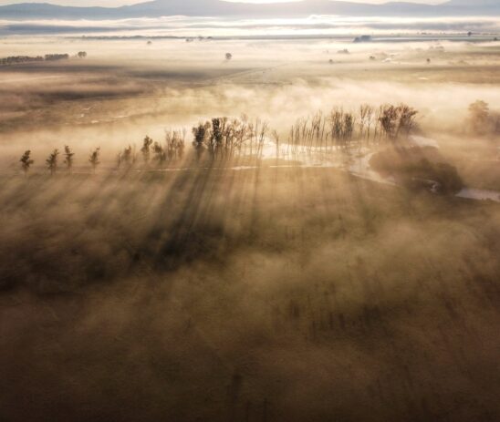 Supporting EuroNatur in preserving the heart of the Dinaric Karst: protecting nature and empowering communities as a path to sustainable management.