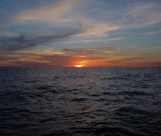 Supporting Semillas del Océano in protecting Guatemala’s coastal and marine resources