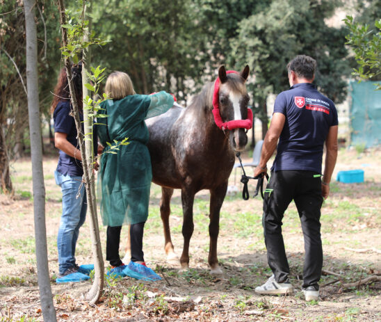 Roma, al San Giovanni Battista nuovo spazio di cura riabilitativa