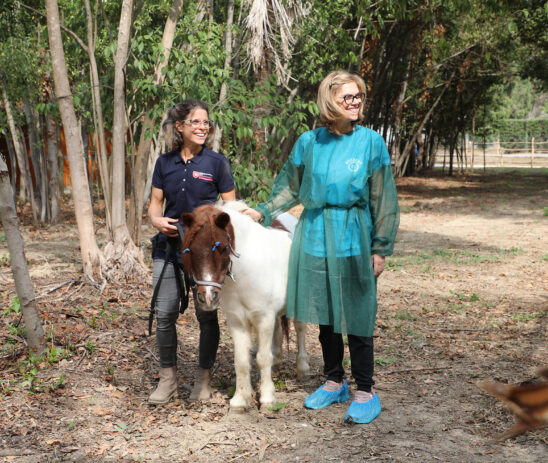 “Nando and Elsa Peretti” Bosco Vivo – Living Woodland Inaugurated at the Order of Malta’s San Giovanni Battista Hospital in Rome